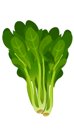 footer image